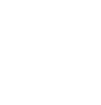 Premium Icon